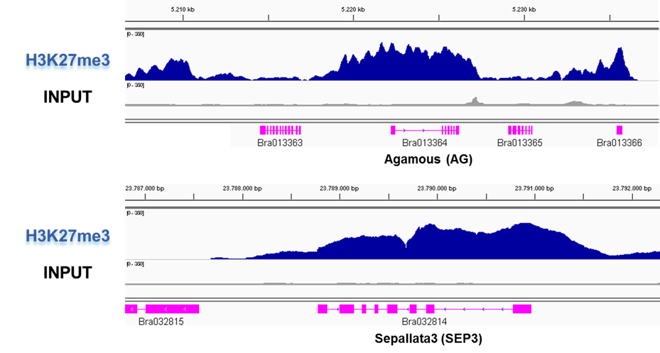 comparison between species